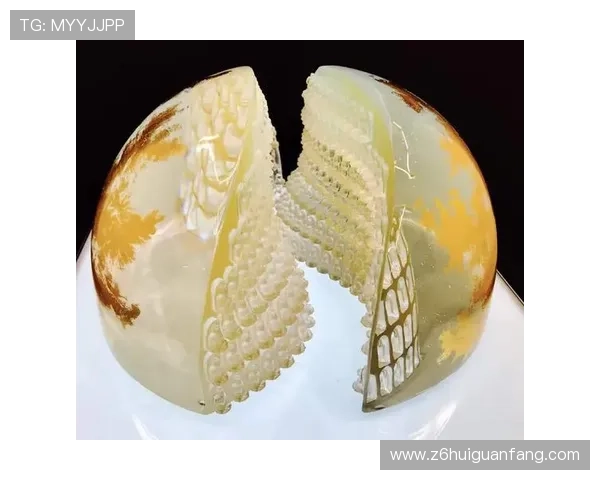 尊龙凯时 人生就是搏：勇敢追梦，成就非凡人生的必经之路