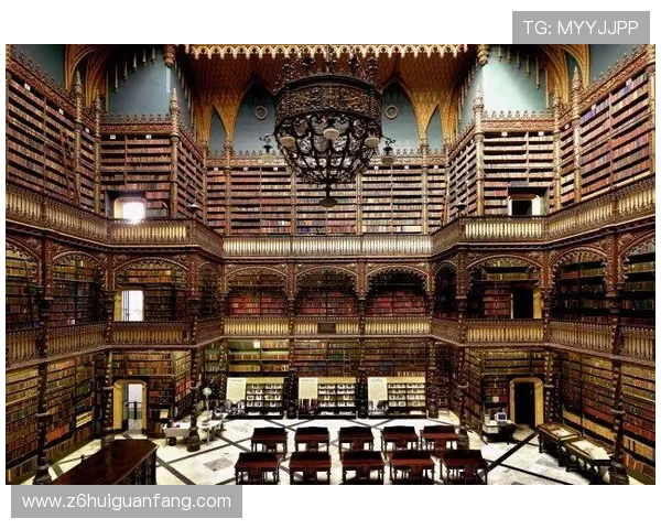 解析d88尊龙手机版的玩法特色与优势所在